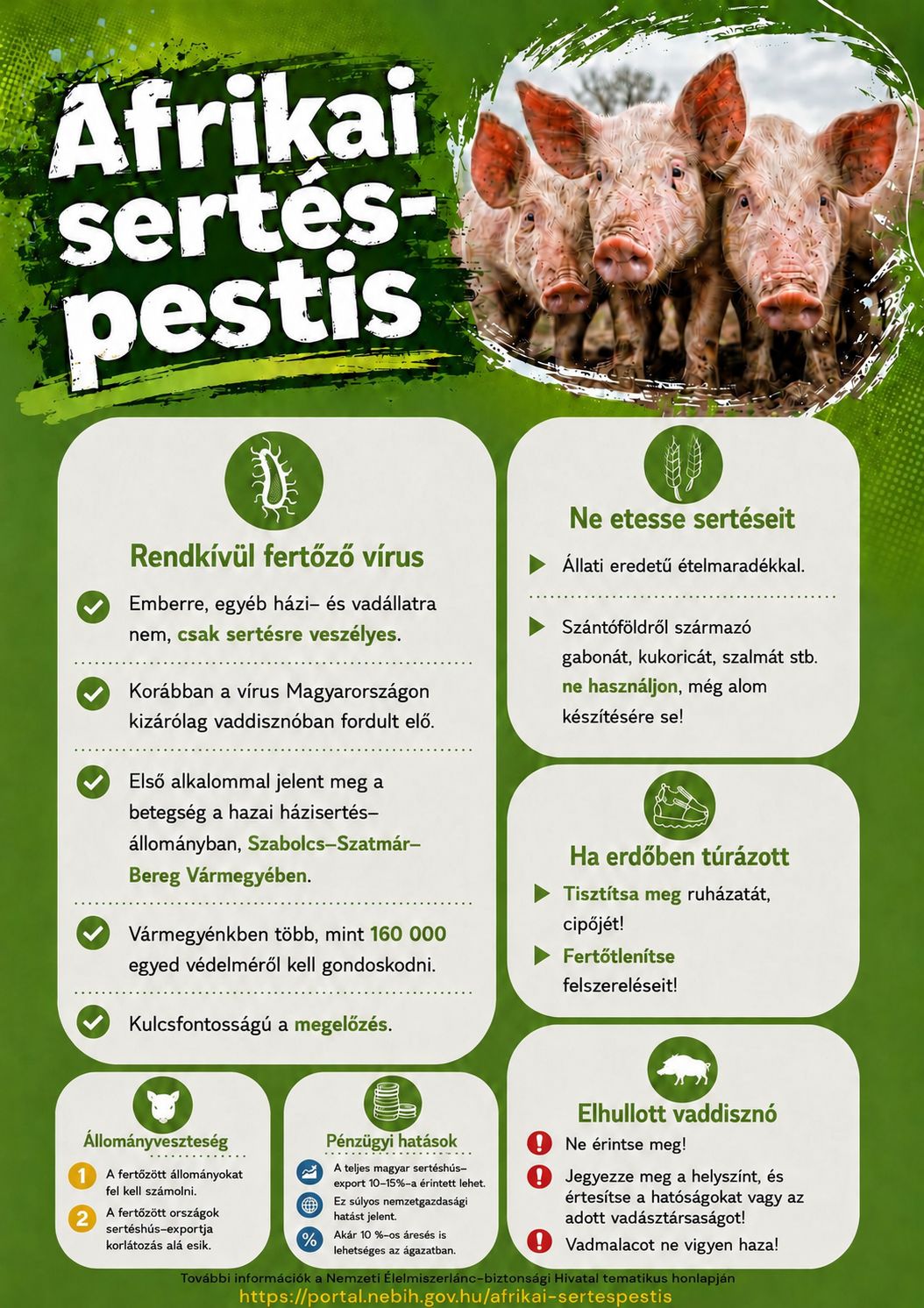 Afrikai sertés-pestis -el kapcsolatos tájékoztató