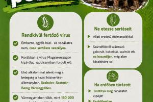 Afrikai sertés-pestis -el kapcsolatos tájékoztató